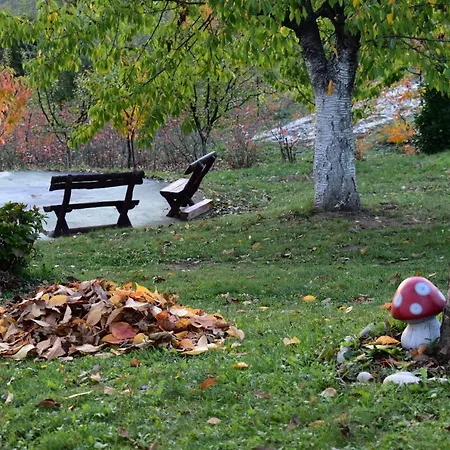 Tatil Evi Baberius Babe