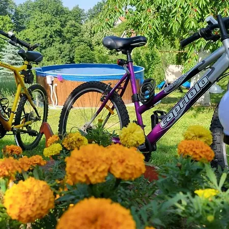 Baberius Tatil Evi Babe