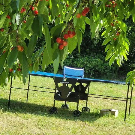 Baberius Hébergement de vacances *