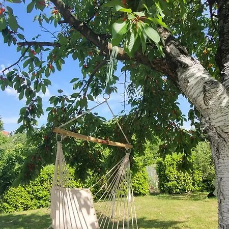 Baberius Hébergement de vacances